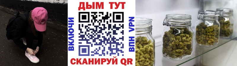 Продажа наркотиков Кировград mega вход  Бошки Шишки  COCAIN  Меф  ГАШИШ  А ПВП 