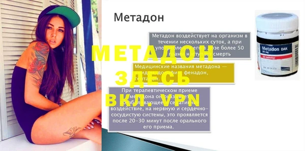 прущие грибы Михайловка