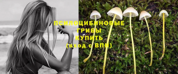 трава Михайловск
