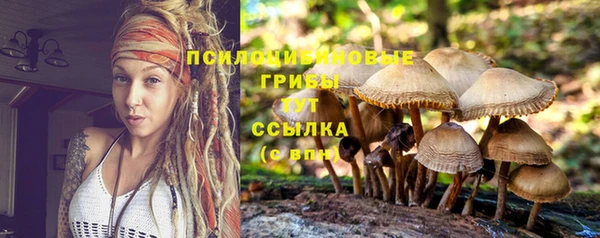 spice Навашино