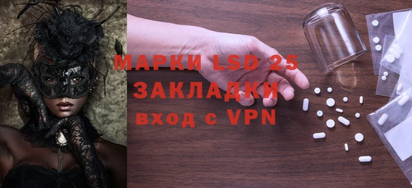 прущие грибы Михайловка