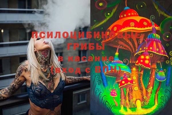 трава Михайловск