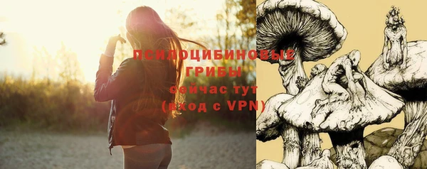 прущие грибы Михайловка