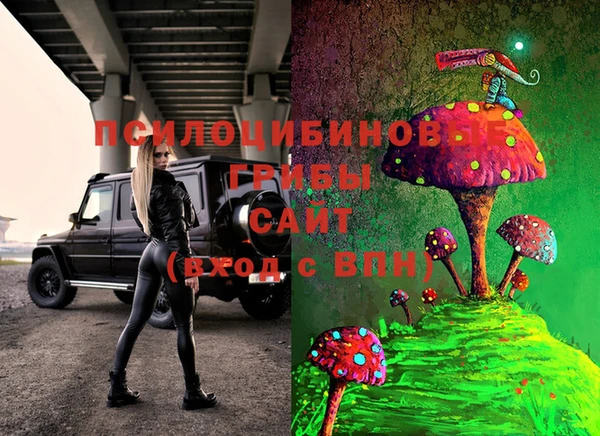 трава Михайловск