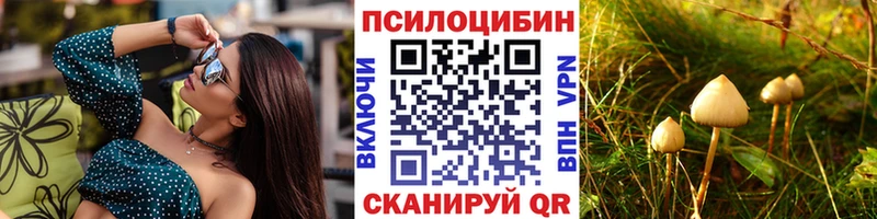 магазин продажи Кировград Галлюциногенные грибы GOLDEN TEACHER